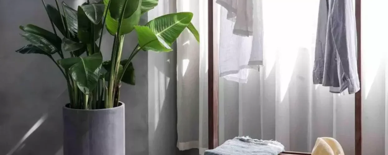 Ponowny renesans minimalizmu.