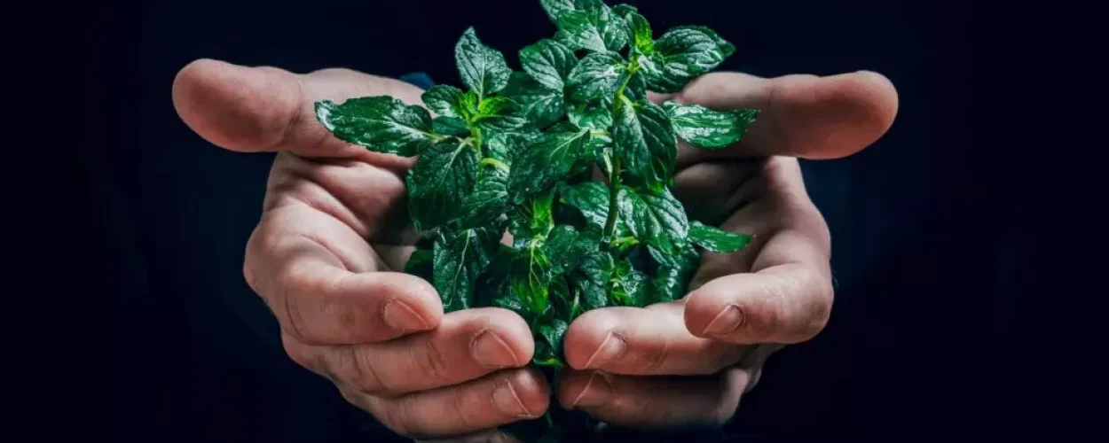 jan-kopriva-nex3P5iBnPg-unsplash1-1024x683