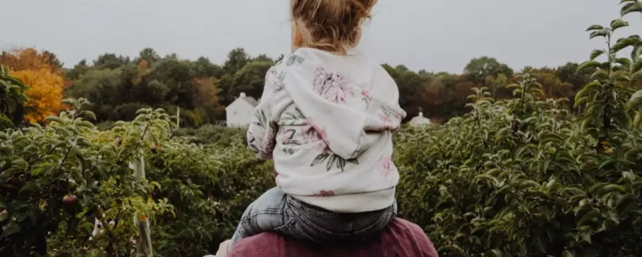 kelly-sikkema-beg4vkagLzs-unsplash-930x620